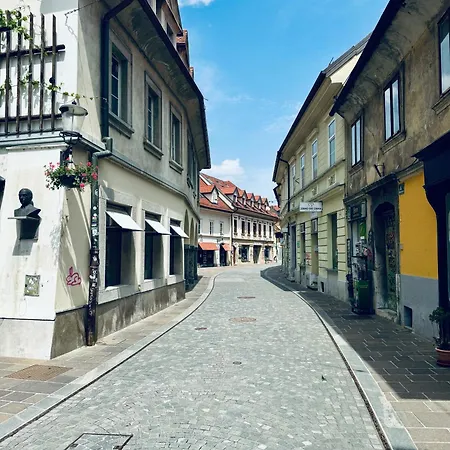 Serenity Guest house *