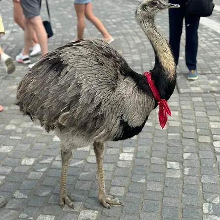 Serenity Πανσιόν