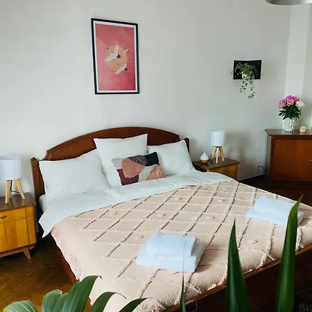 Serenity Guest house *